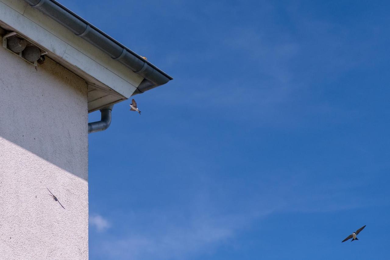 Ferienwohnung Schwalbennest Weinsheim  Exteriér fotografie