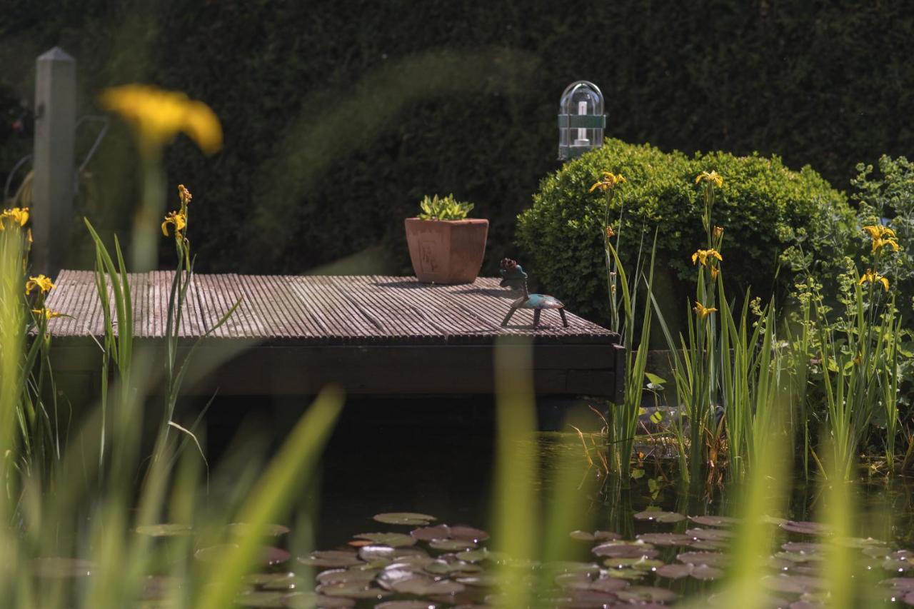 Ferienwohnung Schwalbennest Weinsheim  Exteriér fotografie